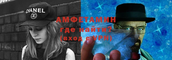 стаф Каменка