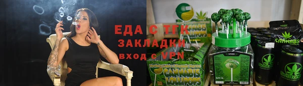 стаф Касимов