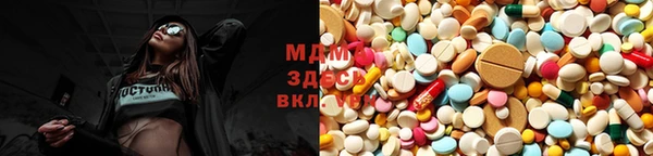 стаф Касимов