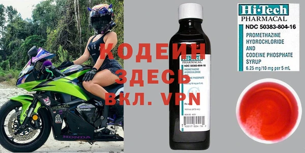 стаф Каменка