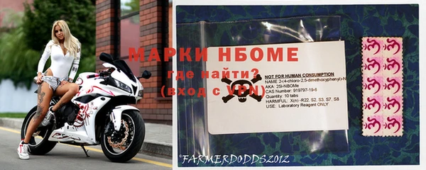 стаф Каменка