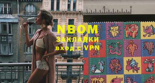 стаф Каменка