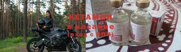 стаф Каменка