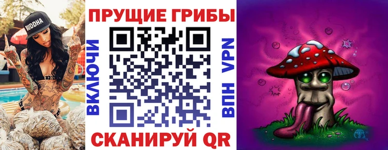 Псилоцибиновые грибы Psilocybe  купить закладку  Суоярви 